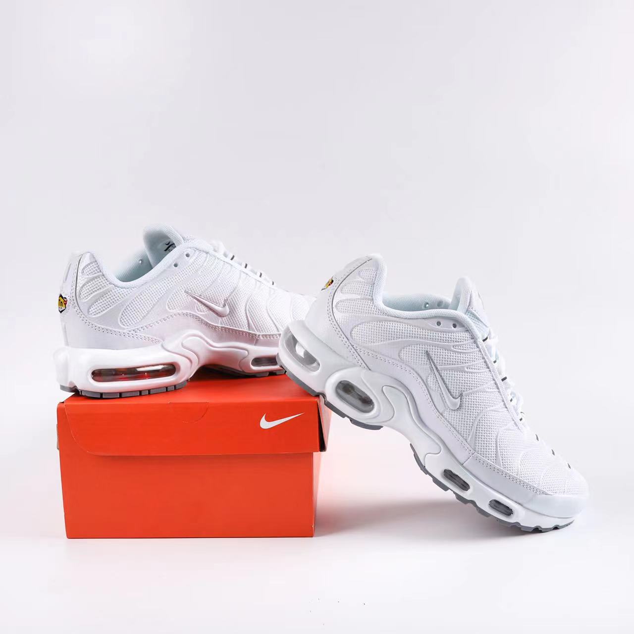 Nike Air Max Plus TN